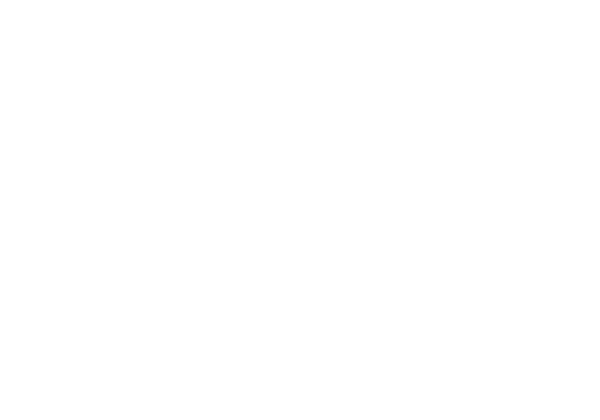 WordCamp Rio 2024